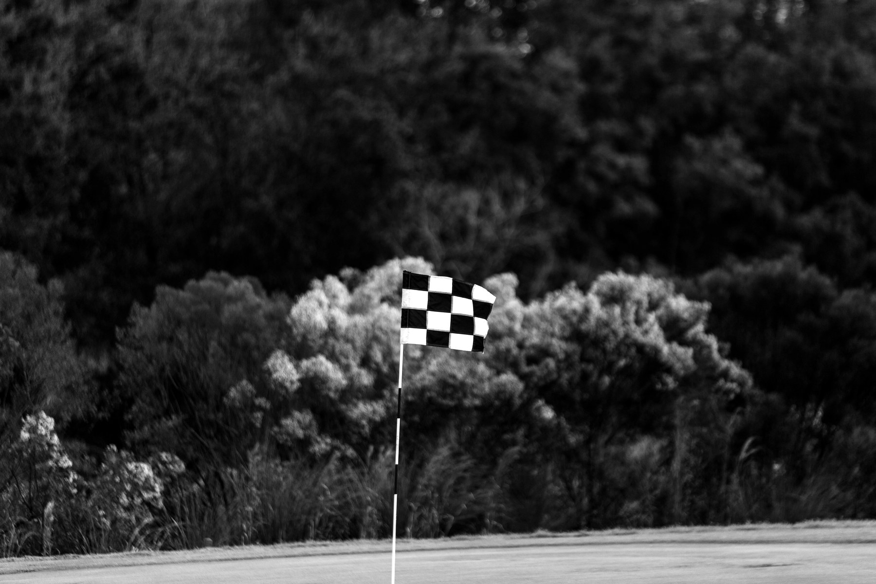 Jared Augustine Built The People’s League for YouTube Golfers